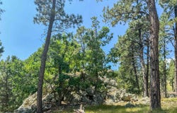 Tract Campfire Three Meadows Road, Keystone, SD 57751
