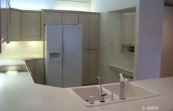 733 Mesa Springs Dr, Mesquite, NV 89027