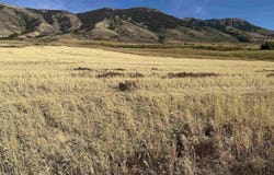 LOT 28 EAGLE VIEW DRIVE, Inkom, ID 83245