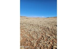 Tbd 340, Concho, AZ 85924