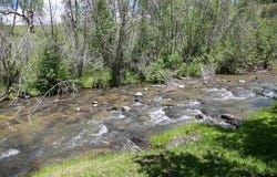 256 County Rd 339, Pagosa Springs, CO 81147