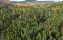 TBD SCHLEGEL RANCH LOT 12 RD, IONE, WA 99139