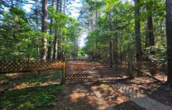 1640 County Road 203, Alton, MO 65606