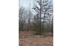 Lot 15 Buckhead Lane, Mountain Home, AR 72663