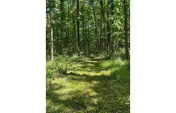 136 Sydnorville Road, Troy, MO 63379