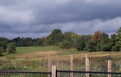 1982 N CRESTWOOD ROAD, Antigo, WI 54409