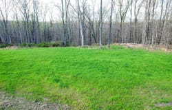 0 Bell Hollow Road, Vanleer, TN 37181