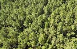 2 State Road 3205, Oberlin, LA 71463