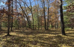 Parcel 8 County Line Road, Free Soil, MI 49411