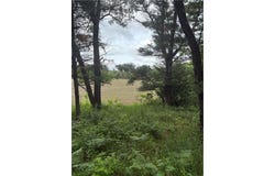 0 Walkers Road, Humbird, WI 54746
