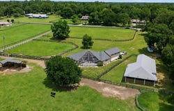 6 WINTERGREEN WAY, OCALA, FL 34482