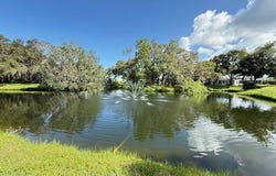 795 CR #1 #157, Palm Harbor, FL 34683