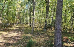 4809 White Birch Lane, Farwell, MI 48622