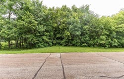 Tbd West Point Trail, Amor Twp, MN 56576