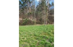 Little Elk Creek Rd, Pioneer, TN 37847
