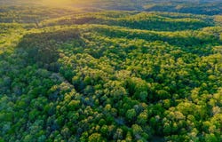 County Road 1990, Willow Springs, MO 65793