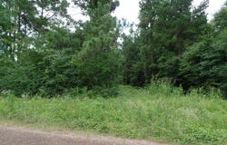 340 CR 2650, Shelbyville, TX 75973