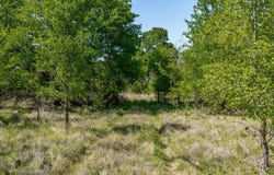 Tbd County Road 322, Gustine, TX 76455