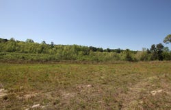 2500 Dean Church Rd, Ozark, AL 36360