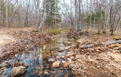 70 acres off Ray Hicks Road, Viburnum, MO 65566