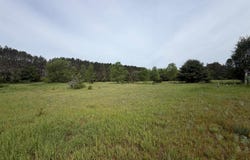 Pearl Street, Thompsonville, MI 49683