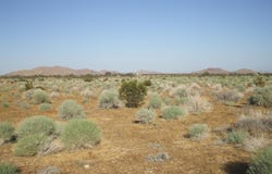 N Vim, Rosamond, CA 93560