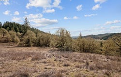 19660 SW EAGLE POINT RD, McMinnville, OR 97128
