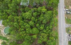 Lot 19 W White Rose Street, DeFuniak Springs, FL 32433
