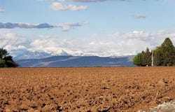 Cedar Road, Delta, CO 81416