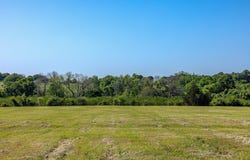 00 Sauney Chapel Road, Chappell Hill, TX 77426