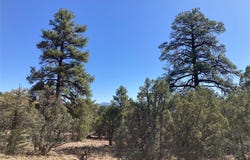 Parkview Hills Lot 29, Rutheron, NM 87551