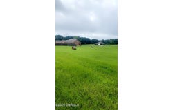 26 Lakeview Drive, Union, MS 39365