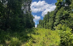 F E Sellers Highway, Monticello, MS 39654
