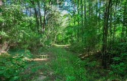417 WALTER LN, Jefferson, TX 75687