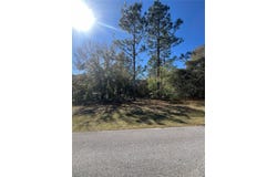 00 SW 196TH AVENUE, DUNNELLON, FL 34431