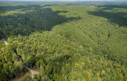 150 MULBERRY HOLLOW lot: 17, CORDOVA, AL 35550