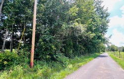 81 Shearer Cemetery Ln, Columbia, KY 42728