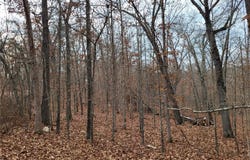 Dunn Drive, Edwards, MO 65326