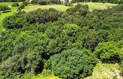 0000 Highway 17, Summersville, MO 65571
