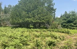 V/L REAMS ROAD, INDIAN RIVER, MI 49749