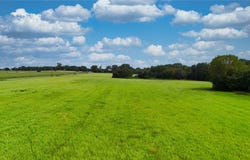 St Hwy 198, Canton, TX 75103