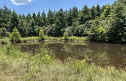 0 Highway 291 South, Prattsville, AR 72129
