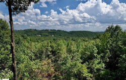 501 Blue Bonnet Trail, Marietta, SC 29661