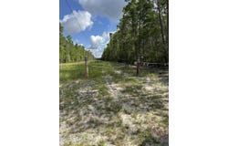 HANKLEY LAKE Trail, Hawthorne, FL 32640