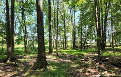 OLD DURHAM RD, PIPERSVILLE, PA 18947
