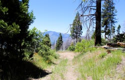 Redwood Dr, Springville, CA 93265