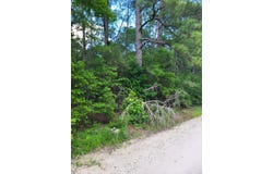 L46126 Reily Village, Corrigan, TX 75939