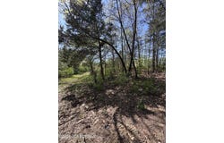EDWARDS DR, Holts Summit, MO 65043