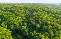 208 County Road 44, Athens, TN 37303