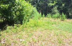 0 Pool, Greensboro, GA 30642
